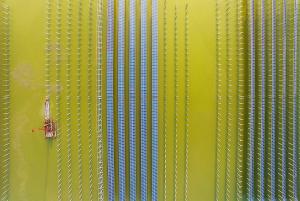 安徽省天長市漁光互補(bǔ)太陽能發(fā)電場