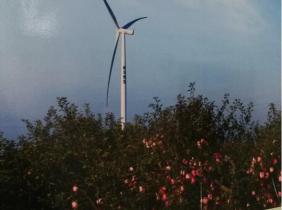 上海電氣2.5MW機型裝機容量最大風電場項目順利出質保