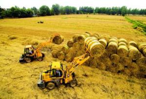 安徽來安秸稈利用好 增收又環(huán)保