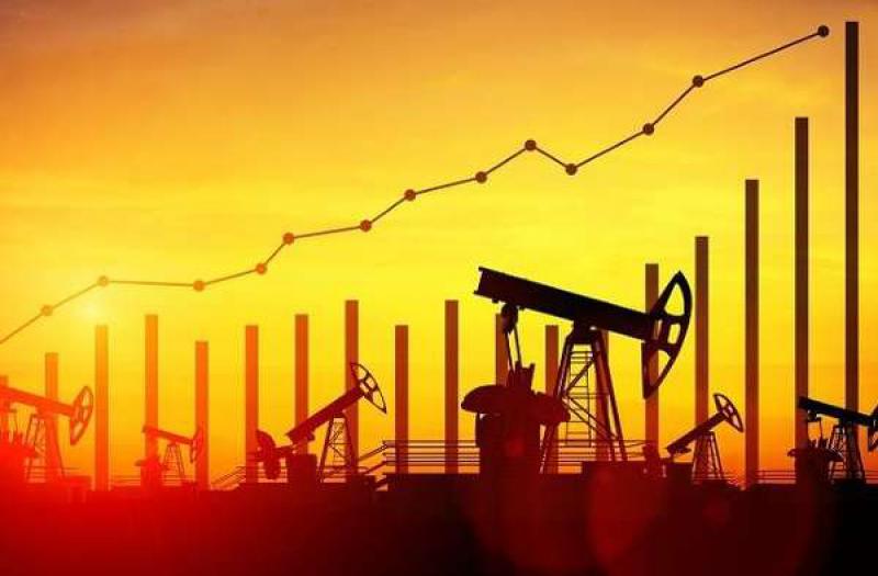 國(guó)際石油價(jià)格的不確定性引發(fā)埃及預(yù)算危機(jī)