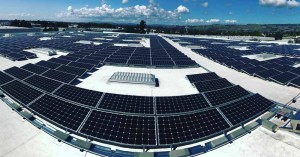 Borrego Solar為柑橘經銷商完成太陽能電池陣列