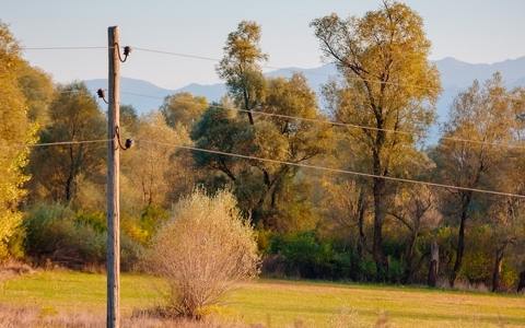 為振興黑山配電網(wǎng)絡(luò)，CEDIS將在分銷網(wǎng)絡(luò)上投資8160萬歐元