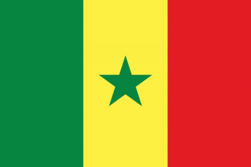 塞內加爾能源政策及發展戰略