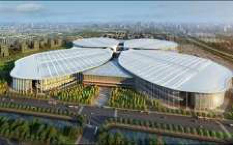 孟振平參加進博會開幕式，加快建設成為具有全球競爭力的世界一流企業，將加強對“一帶一路”沿線國家的能源資源開發與合作