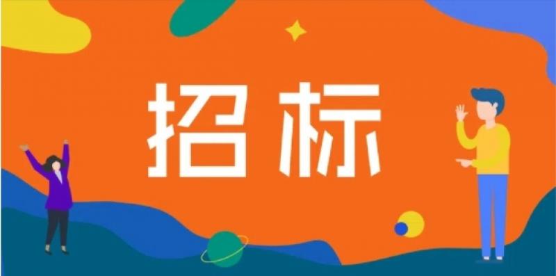 西班牙比斯開省巴爾馬塞達市門迪亞學校屋頂太陽能光伏發電系統并網發電項目招標